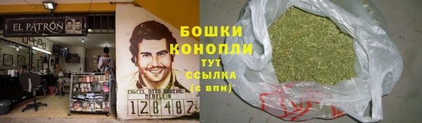 бошки Горнозаводск