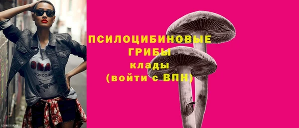 прущие грибы Горно-Алтайск