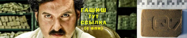 прущие грибы Горно-Алтайск