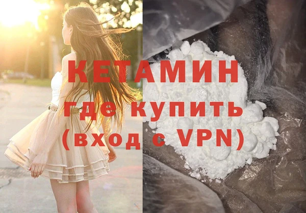 прущие грибы Горно-Алтайск