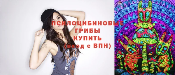 бошки Горнозаводск