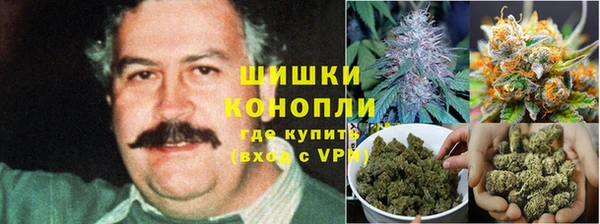 СК Горняк