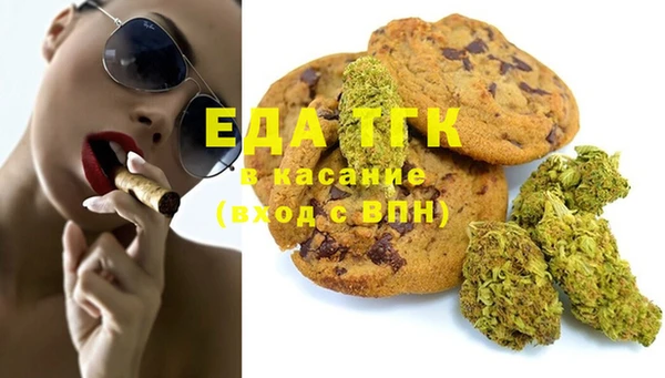 прущие грибы Горно-Алтайск
