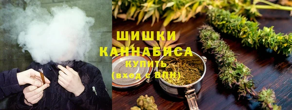 прущие грибы Горно-Алтайск
