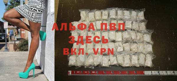прущие грибы Горно-Алтайск