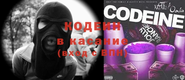 прущие грибы Горно-Алтайск