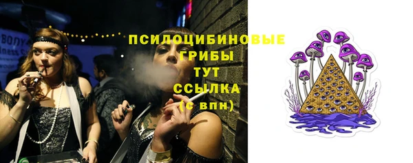 прущие грибы Горно-Алтайск