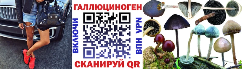 Псилоцибиновые грибы Psilocybe наркотики маркетплейс состав Приволжский МЕГА вход